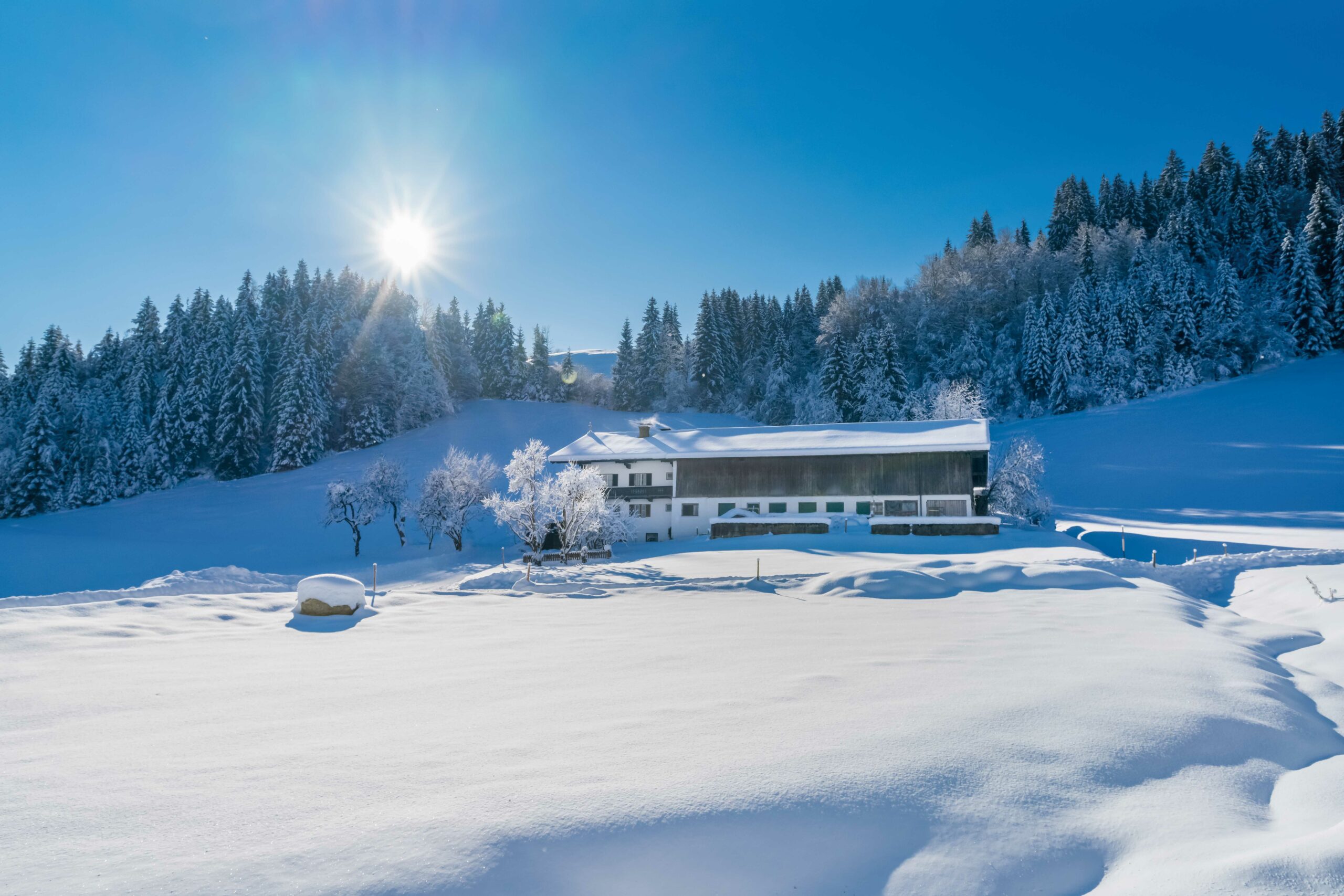 Winterwunderland - Der Getznerhof unter einer Decke aus fast einem Meter Schnee