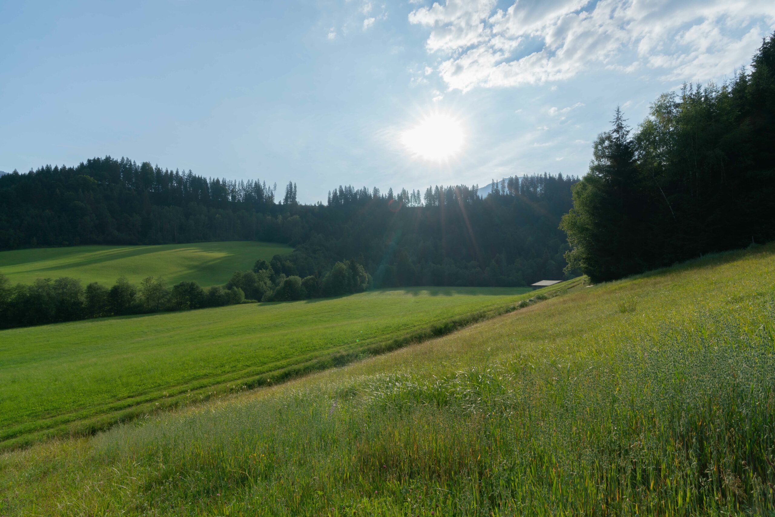 Panoramablick auf die Felder vom Hügel oberhalb des Getznerhofs