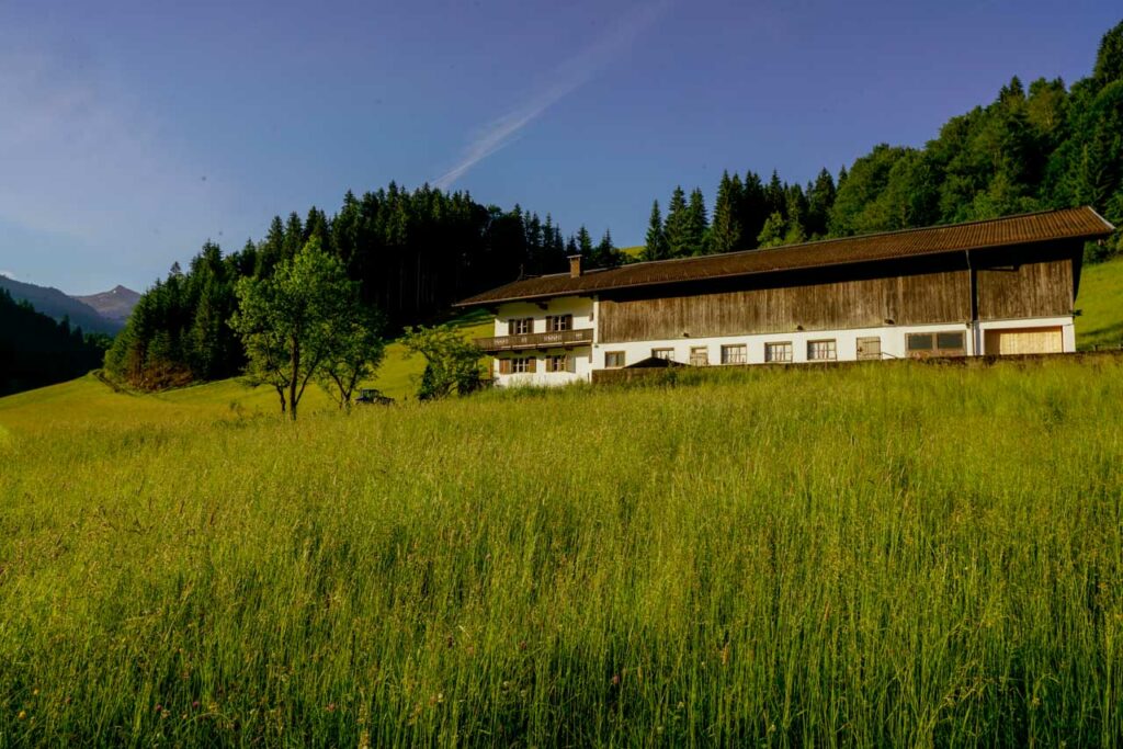 Getznerhof Blog